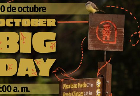 October big day 2026