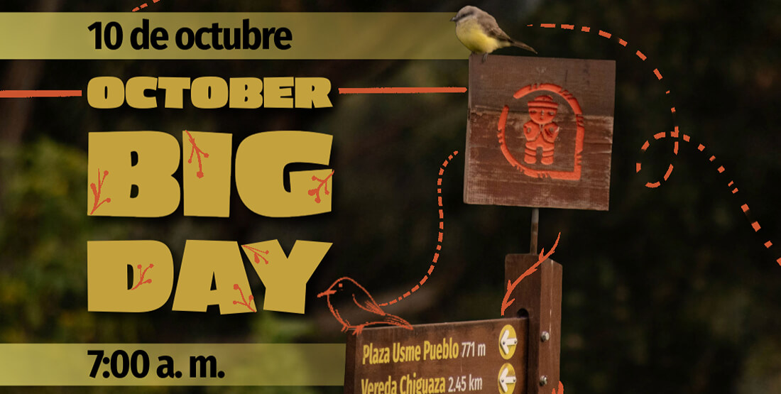 October big day 2026