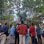 Museo al Park Way: la biodiversidad también cuenta historias
