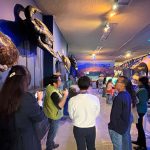 Teusaquillo y Universidad Nacional: territorios donde la naturaleza y el patrimonio se encuentran