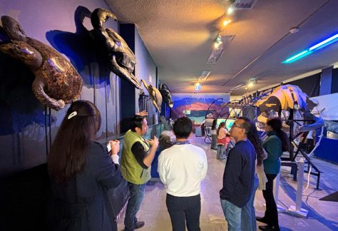 Teusaquillo y Universidad Nacional: territorios donde la naturaleza y el patrimonio se encuentran