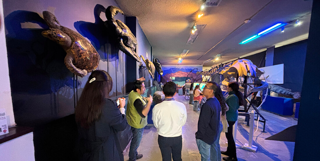 Teusaquillo y Universidad Nacional: territorios donde la naturaleza y el patrimonio se encuentran