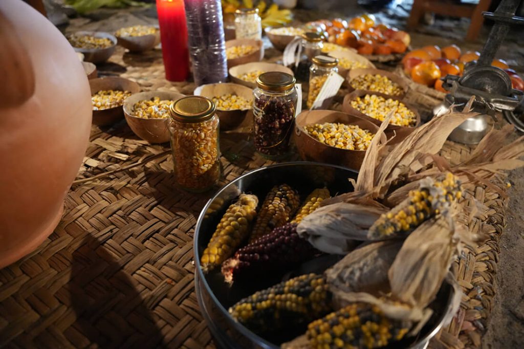 Primer plano de una olla grande sobre un fogón, rodeada de frascos con semillas, espigas de maíz y recipientes tradicionales.