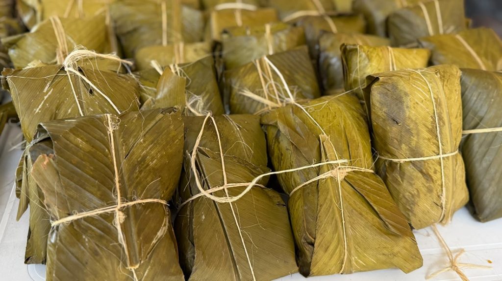 Varios envueltos de masa tradicional envueltos en hojas de plátano y amarrados con cabuya.