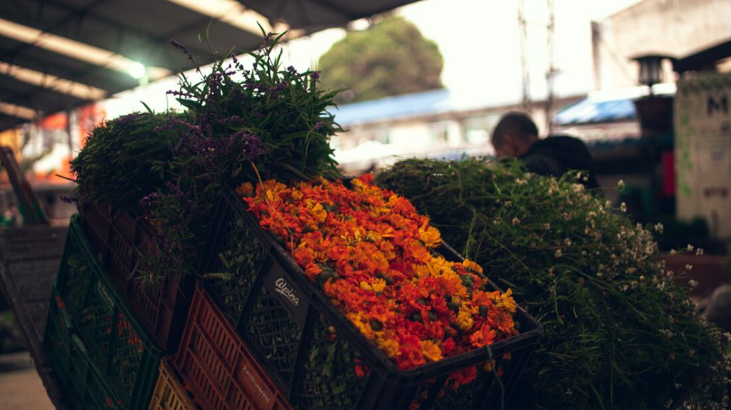 Plazas-distritales-de-mercado-1