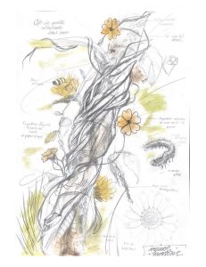 Dibujo segundo puesto dibujatón titulado Enredándonos un abrazo mortal