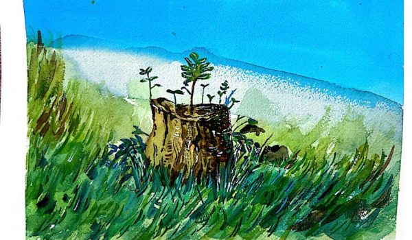 El viento y la vida Dibujo ganador del II premio Dibujatón 2022